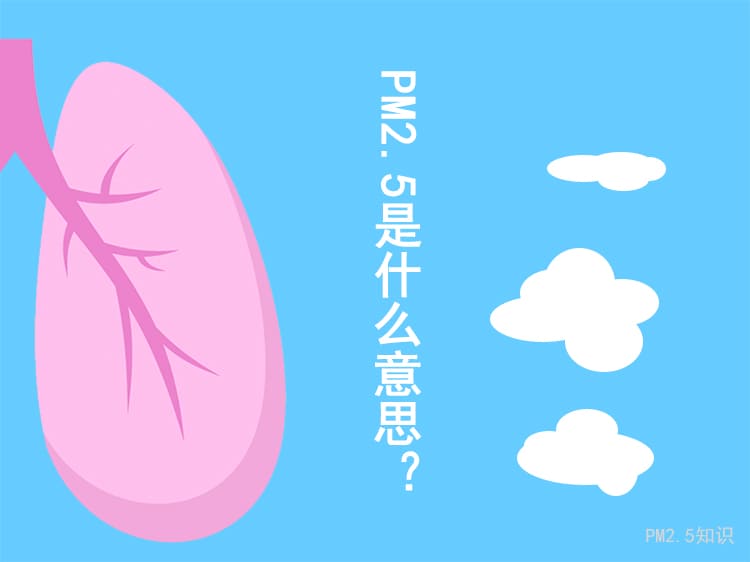 PM2.5是什么意思，PM2.5污染源是什么？